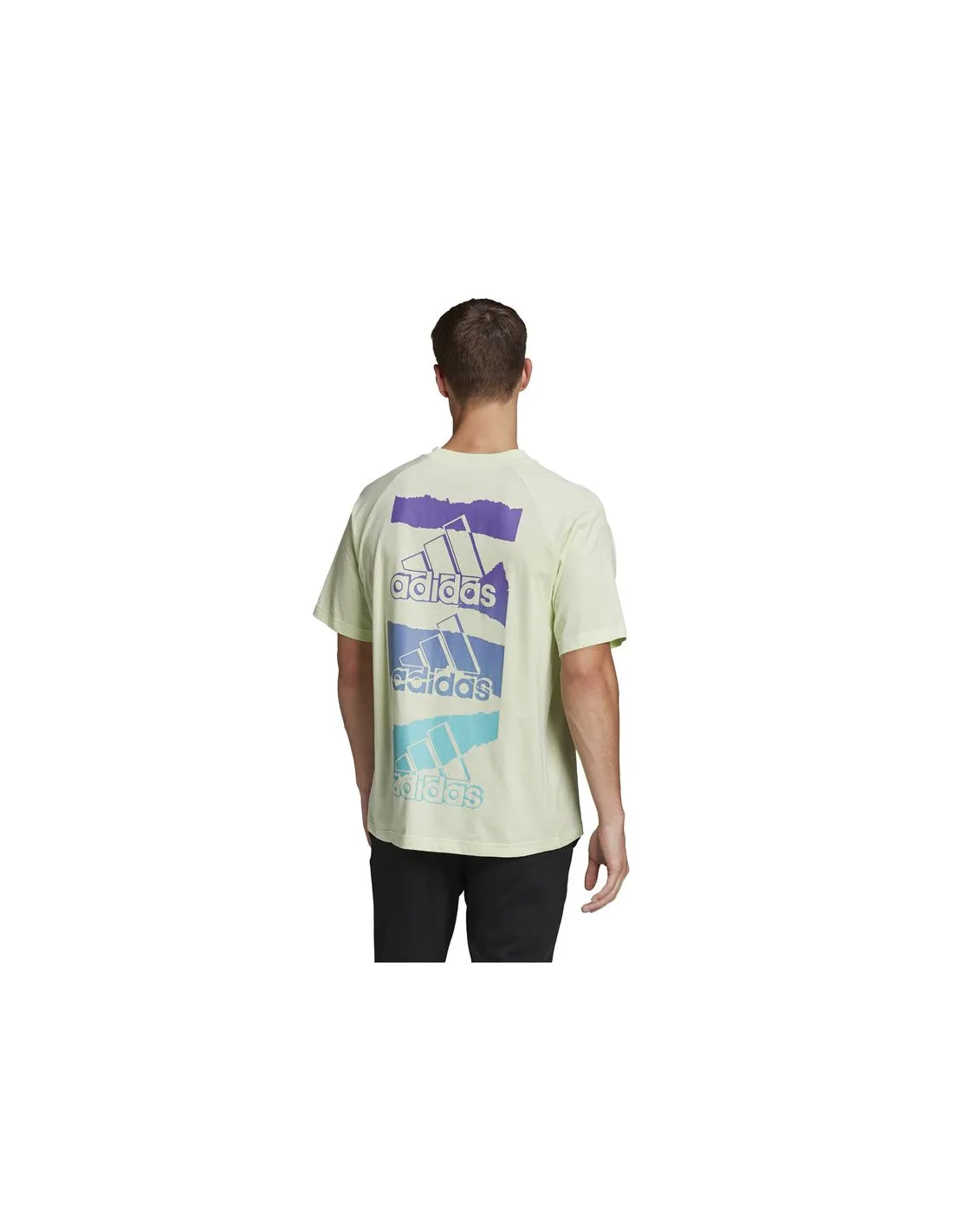 Camiseta adidas Essentials brandlove Hombre Green