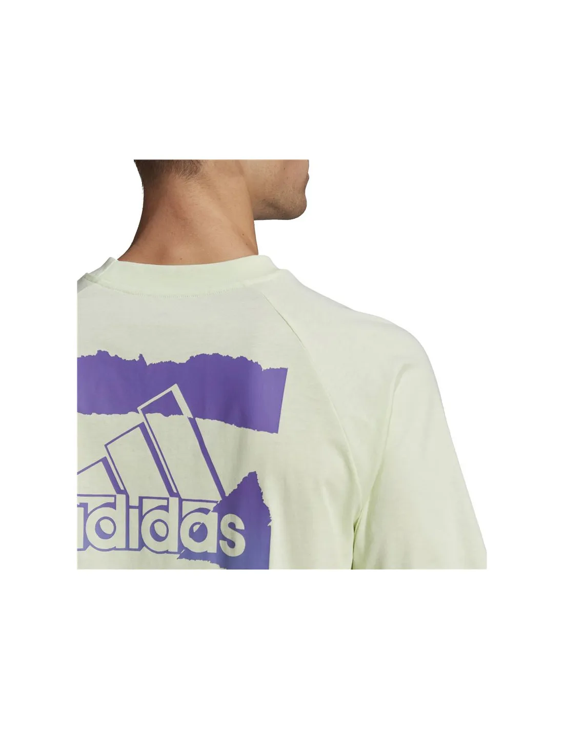 Camiseta adidas Essentials brandlove Hombre Green
