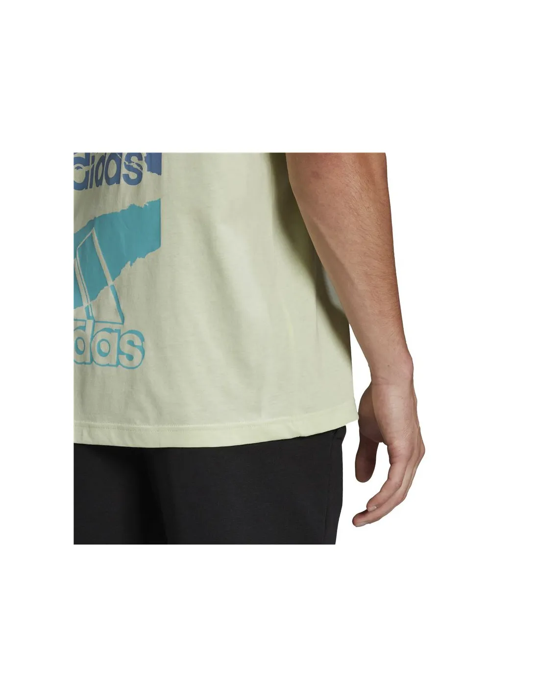 Camiseta adidas Essentials brandlove Hombre Green