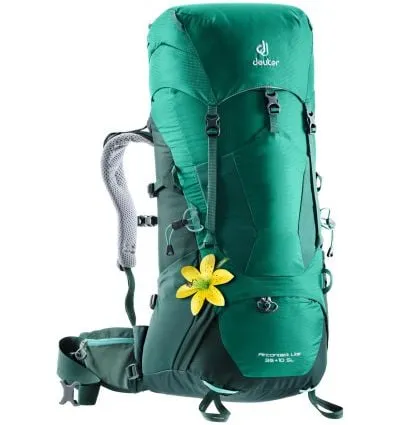 Deuter Aircontact Lite 65 + 10 Alpine Green / Forest Green