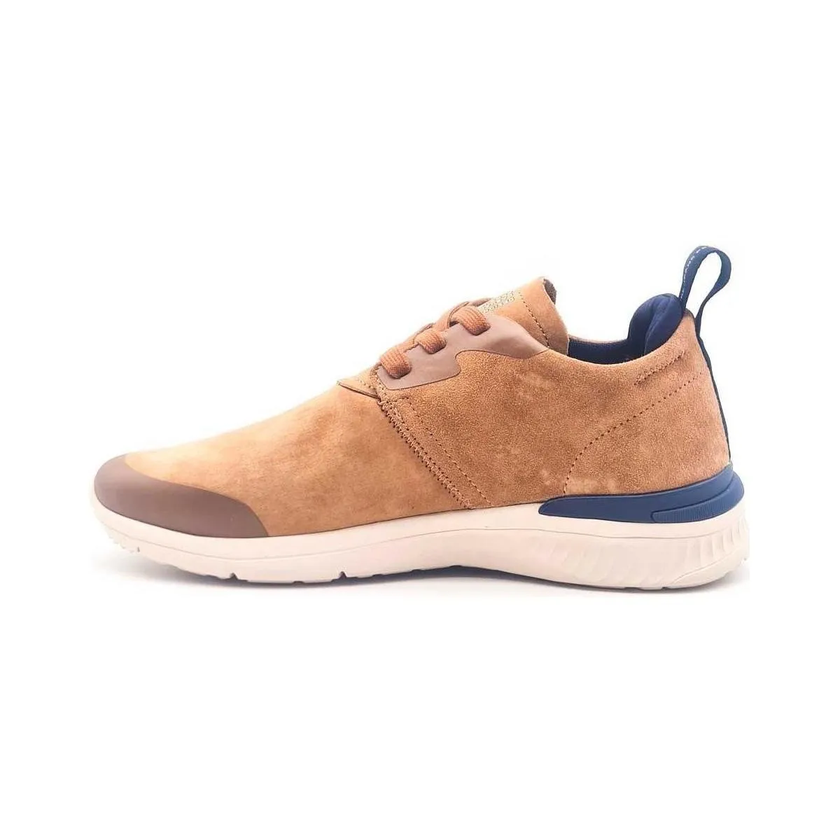 JAY PRO DESERT