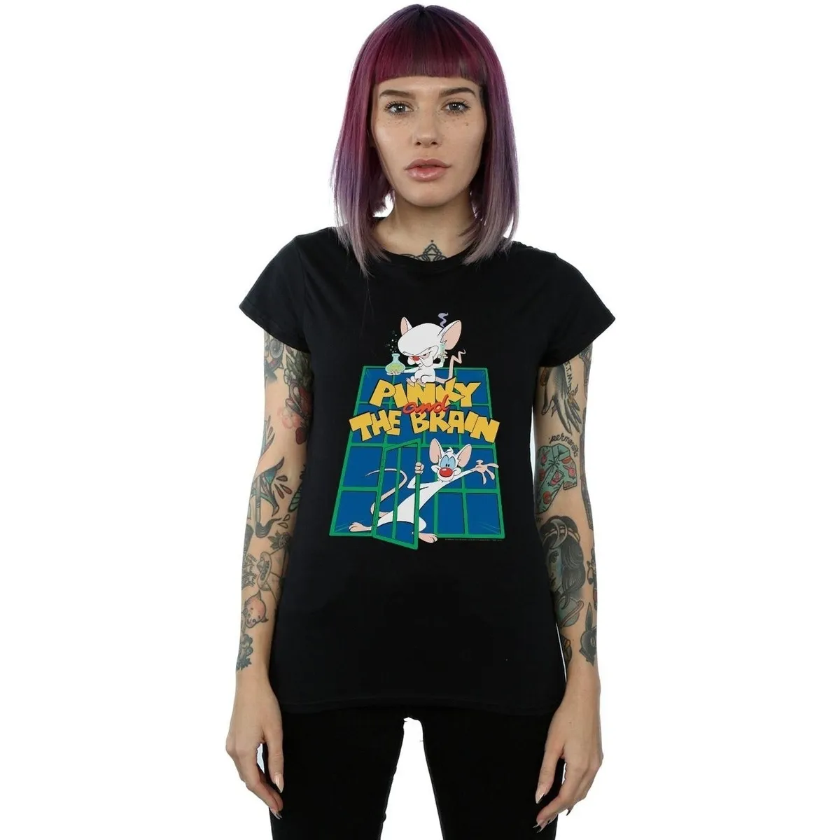 Pinky And The Brain Laboratory