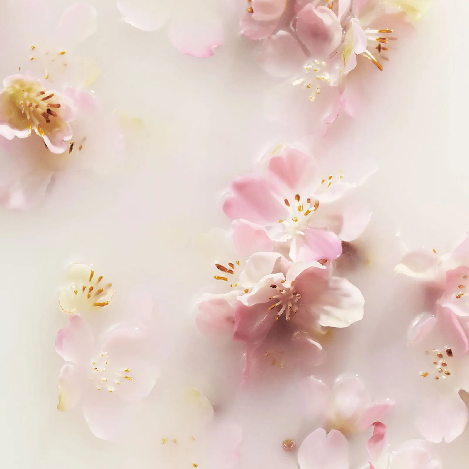 RITUALS The Ritual of Sakura  Cofre revitalizante L