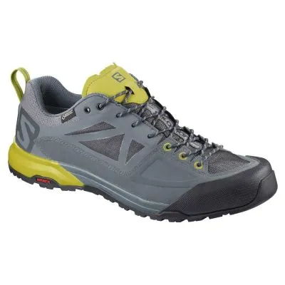 Salomon X Alp Spry Goretex